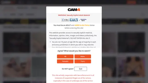 CAM4 VR preview